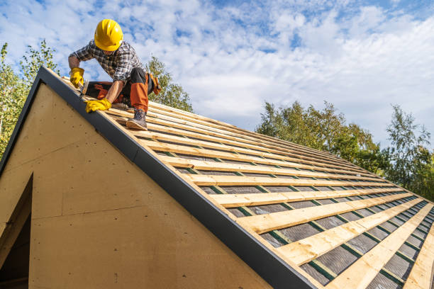 Best Gutter Installation and Roofing  in Landrum, SC
